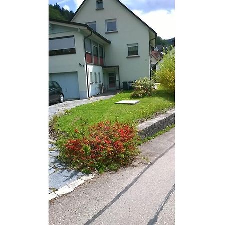 Haus Marion Apartment Тодтнау Екстериор снимка