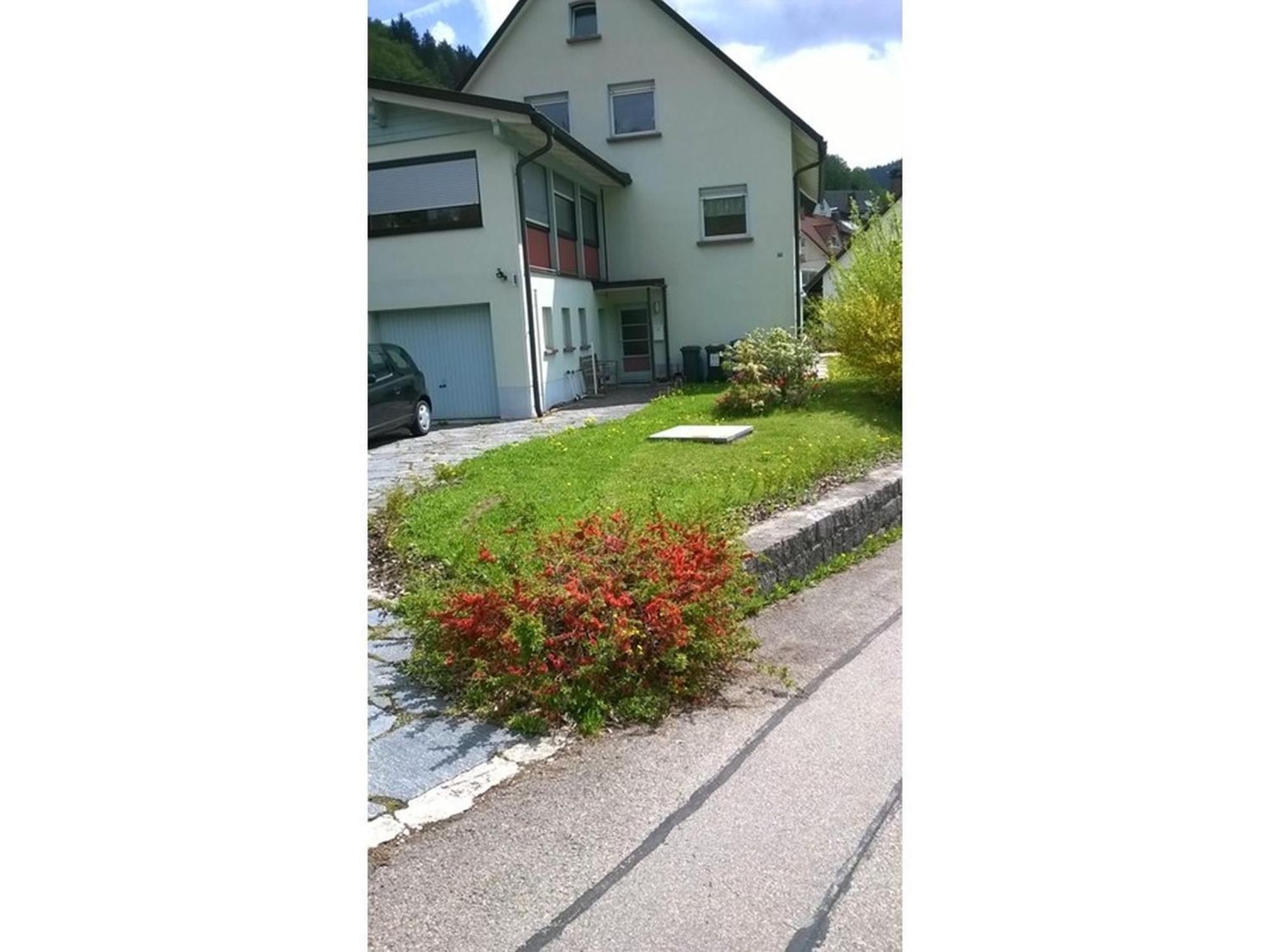 Haus Marion Apartment Тодтнау Екстериор снимка